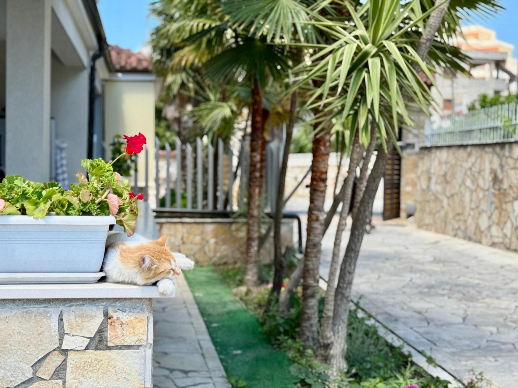 Villa Ida Apartments Vlorë Exterior foto